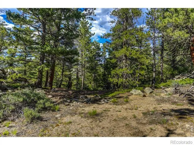 3153 Ridge Road Nederland, CO 80466
