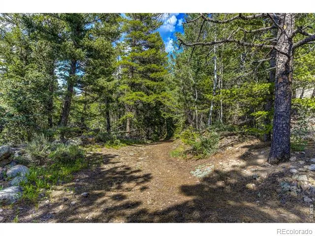 3153 Ridge Road Nederland, CO 80466