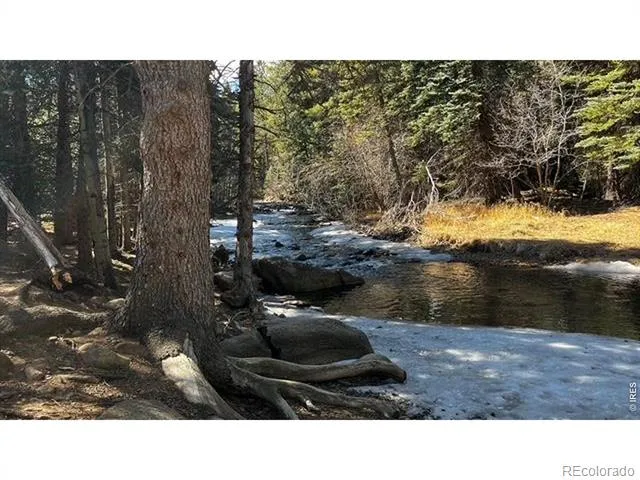 3153 Ridge Road Nederland, CO 80466
