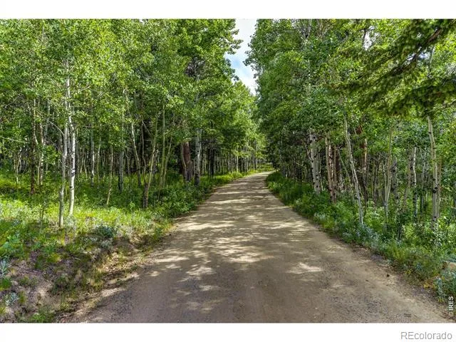 3153 Ridge Road Nederland, CO 80466
