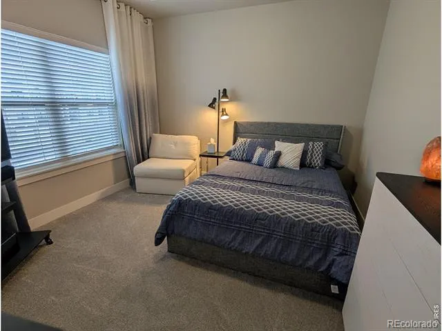 4210 Vulcan Creek Drive #301 Loveland, CO 80538