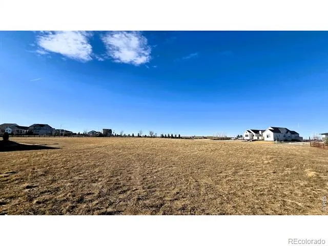 1508 Flowering Tree Court Windsor, CO 80550