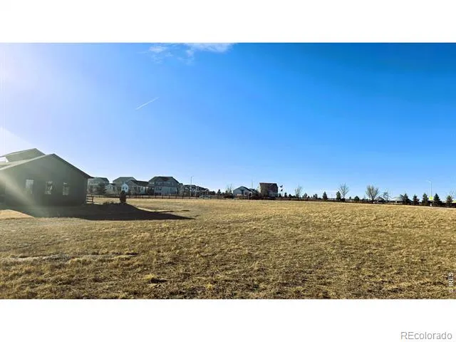 1508 Flowering Tree Court Windsor, CO 80550