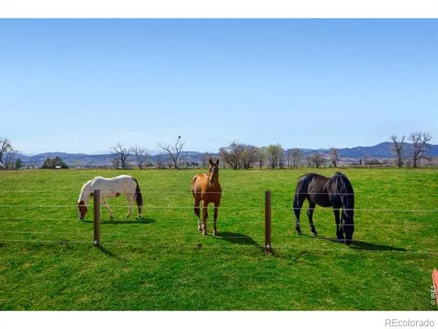 560 Talons Reach Run Berthoud, CO 80513
