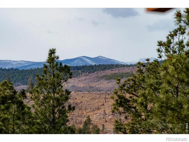 440 La Hermosa Drive Bellvue, CO 80512