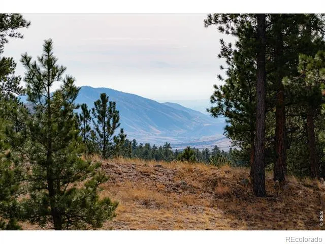 440 La Hermosa Drive Bellvue, CO 80512