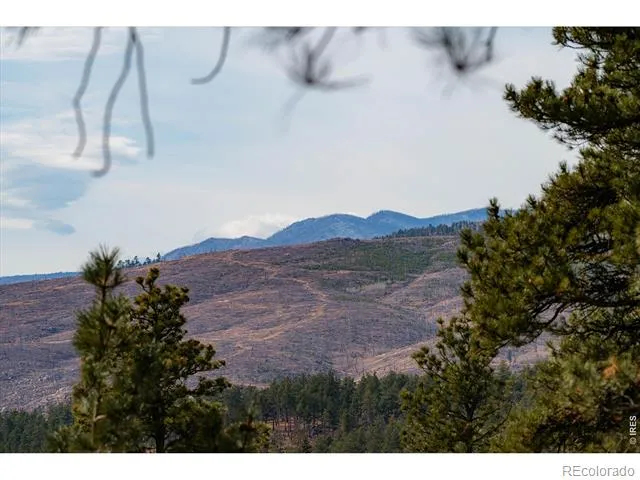 440 La Hermosa Drive Bellvue, CO 80512