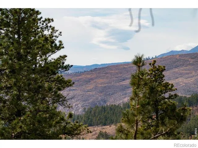 440 La Hermosa Drive Bellvue, CO 80512