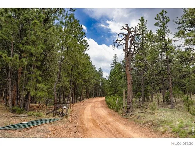 1312 Steamboat Valley Road Lyons, CO 80540