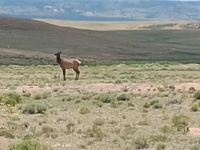  Livermore, CO 80536
