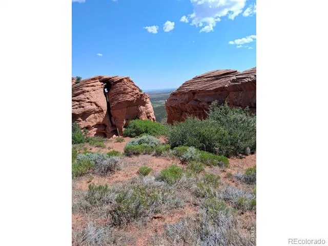 Livermore, CO 80536