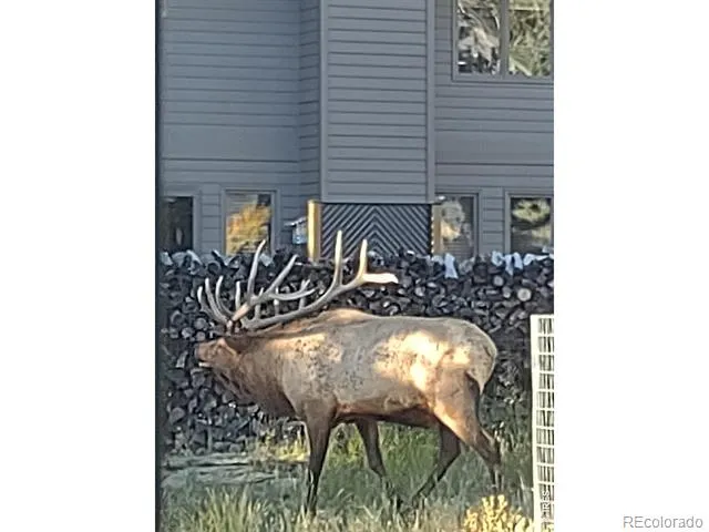 895 Elk Meadow Court Estes Park, CO 80517