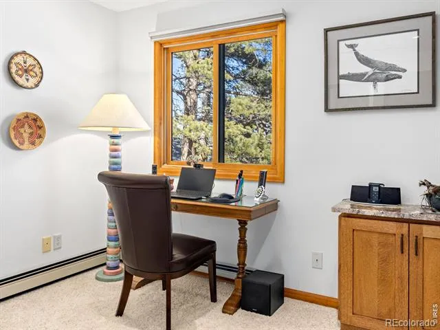 895 Elk Meadow Court Estes Park, CO 80517