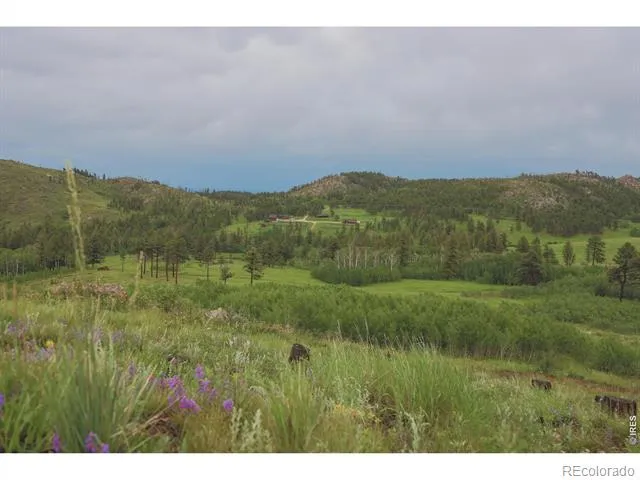 14884 Rist Canyon Road Bellvue, CO 80512