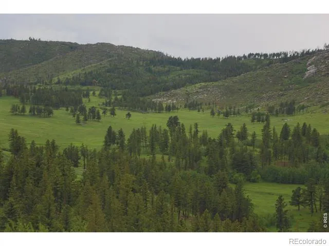 14884 Rist Canyon Road Bellvue, CO 80512