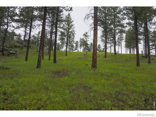 14884 Rist Canyon Road Bellvue, CO 80512