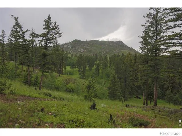 14884 Rist Canyon Road Bellvue, CO 80512
