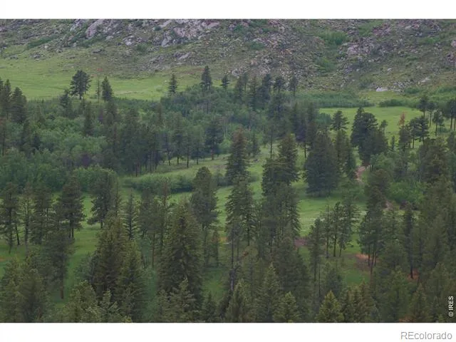 14884 Rist Canyon Road Bellvue, CO 80512