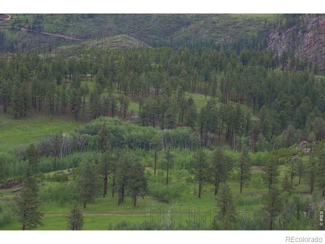 14884 Rist Canyon Road Bellvue, CO 80512