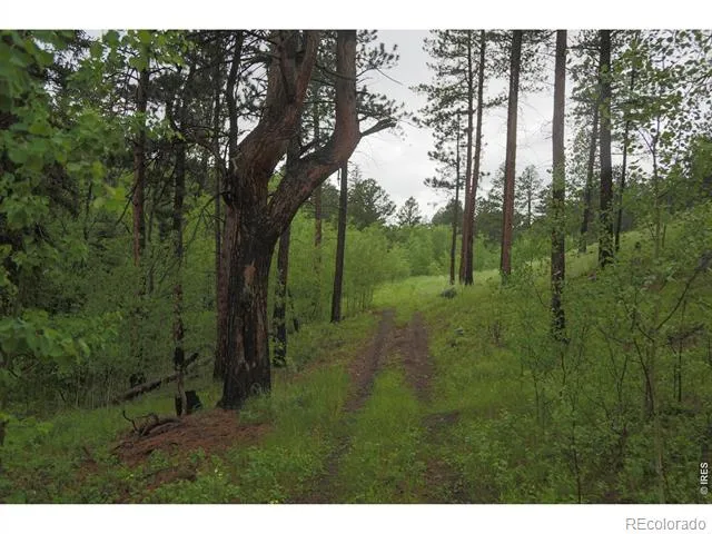 14884 Rist Canyon Road Bellvue, CO 80512