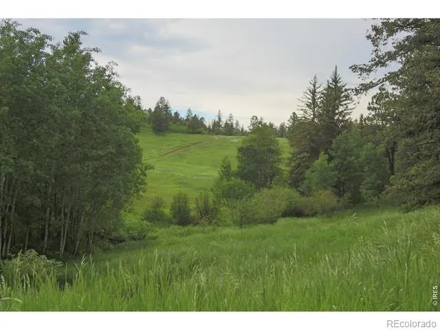 14884 Rist Canyon Road Bellvue, CO 80512