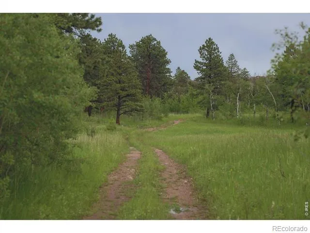 14884 Rist Canyon Road Bellvue, CO 80512