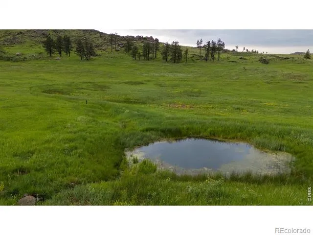 14884 Rist Canyon Road Bellvue, CO 80512