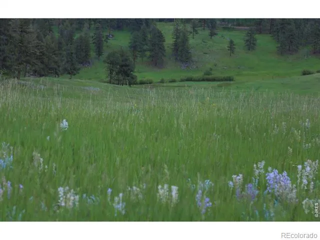 14884 Rist Canyon Road Bellvue, CO 80512