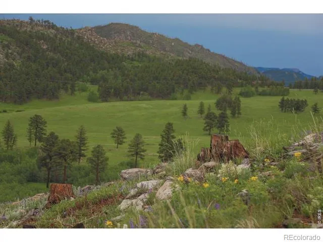 14884 Rist Canyon Road Bellvue, CO 80512