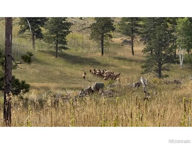 14884 Rist Canyon Road Bellvue, CO 80512