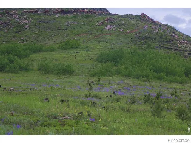 14884 Rist Canyon Road Bellvue, CO 80512