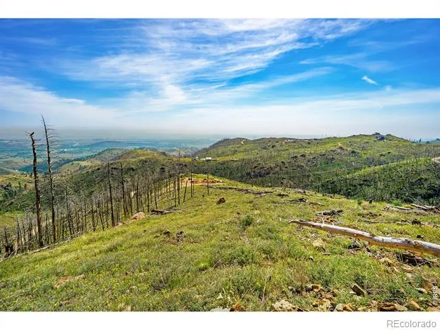 1600 Whale Rock Road Bellvue, CO 80512