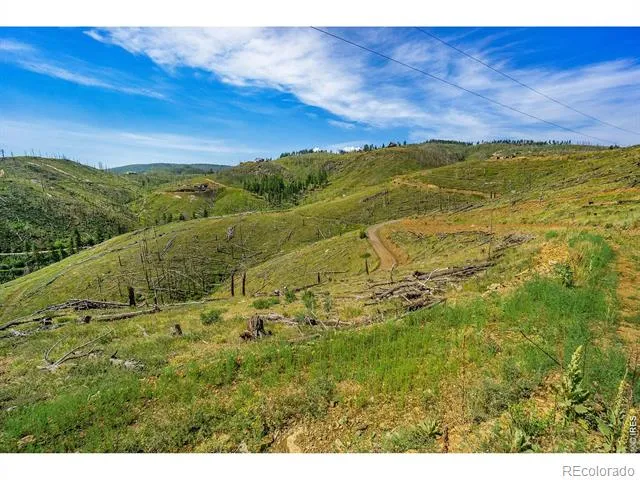 1600 Whale Rock Road Bellvue, CO 80512
