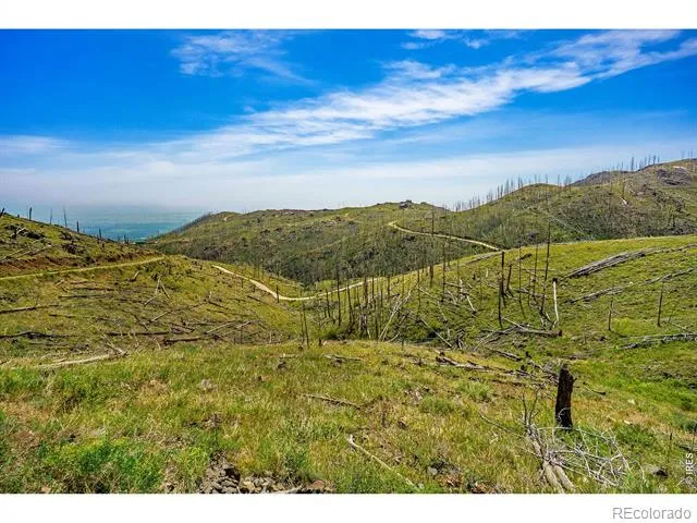 1600 Whale Rock Road Bellvue, CO 80512