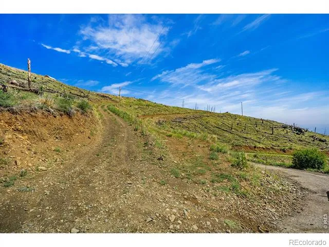 1600 Whale Rock Road Bellvue, CO 80512
