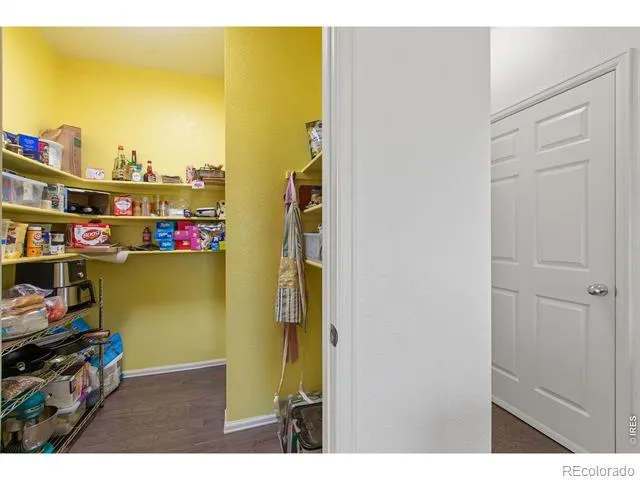 6792 Covenant Court Timnath, CO 80547