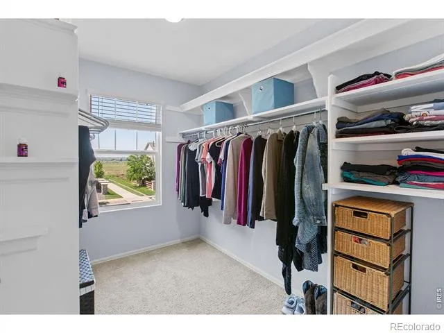 6792 Covenant Court Timnath, CO 80547