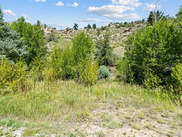 9981 County Road 43 Glen Haven, CO 80532