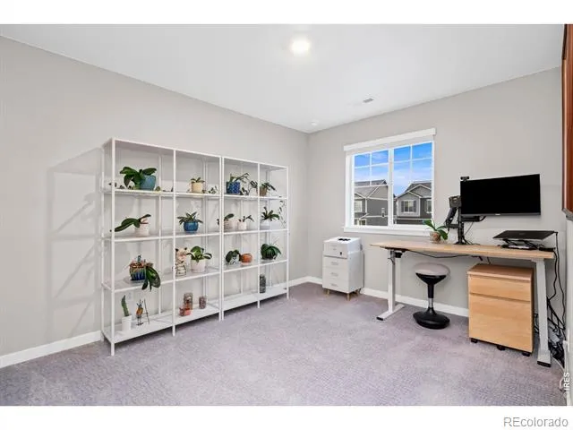 1938 Knobby Pine Drive Fort Collins, CO 80528