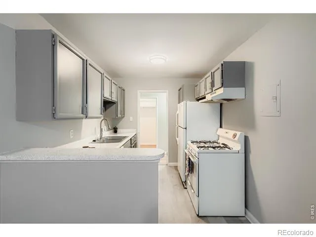 1375 Williams Street #105 Denver, CO 80218