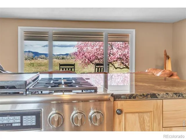 1296 Aspen Street Broomfield, CO 80020