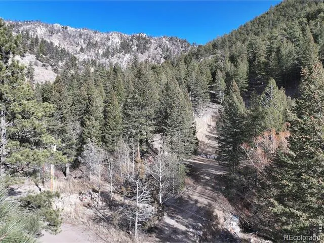 416 Black Creek Drive Glen Haven, CO 80532