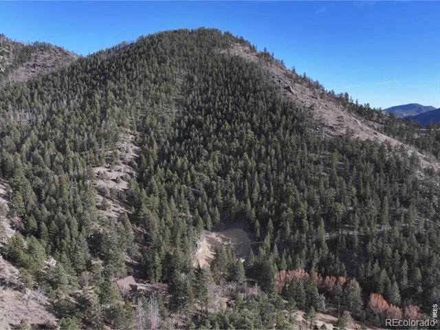 416 Black Creek Drive Glen Haven, CO 80532