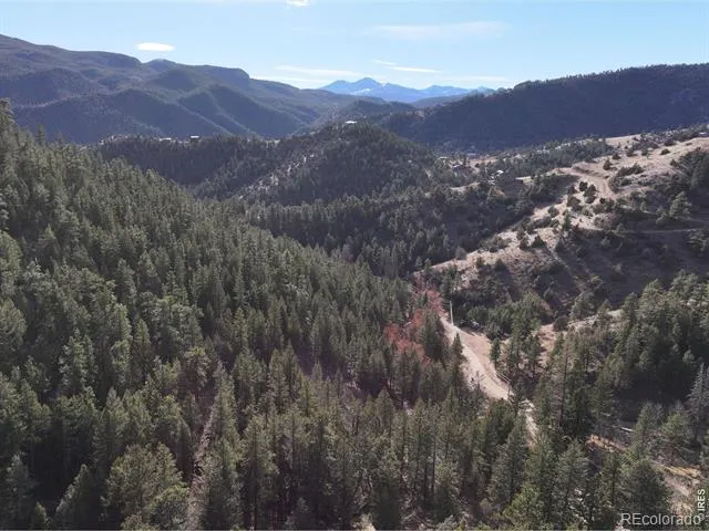 416 Black Creek Drive Glen Haven, CO 80532
