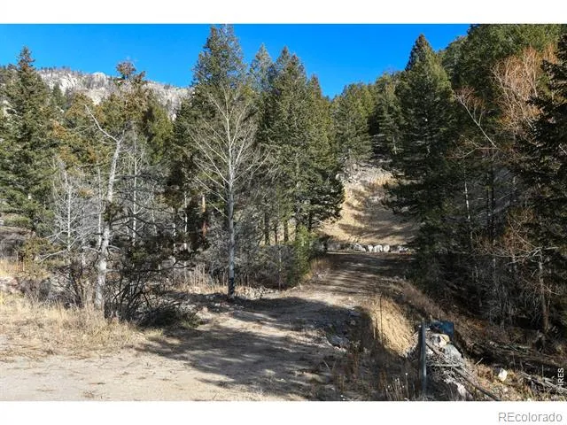 416 Black Creek Drive Glen Haven, CO 80532