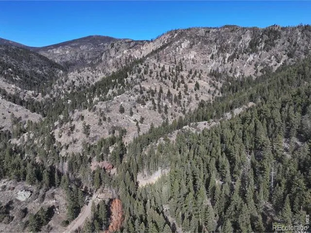 416 Black Creek Drive Glen Haven, CO 80532
