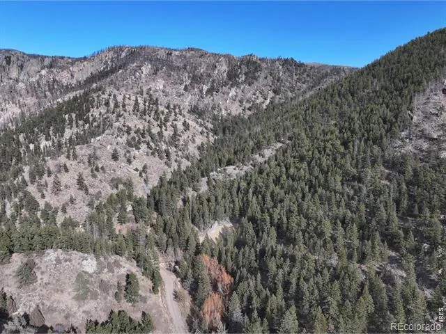 416 Black Creek Drive Glen Haven, CO 80532