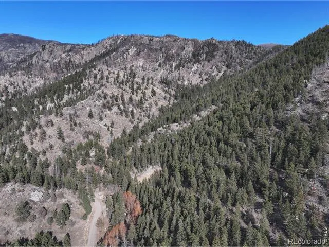 416 Black Creek Drive Glen Haven, CO 80532