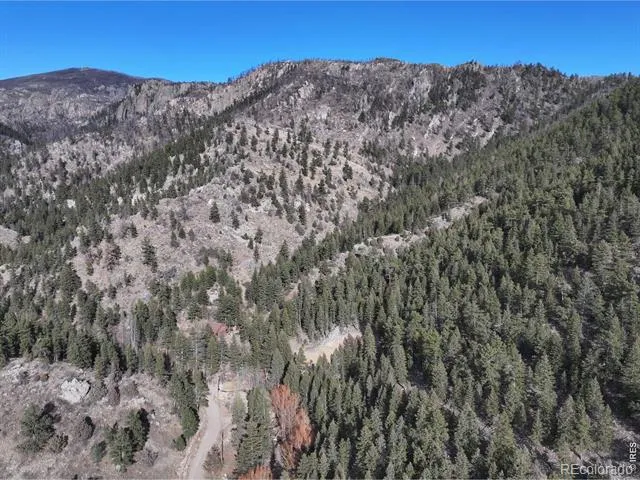 416 Black Creek Drive Glen Haven, CO 80532