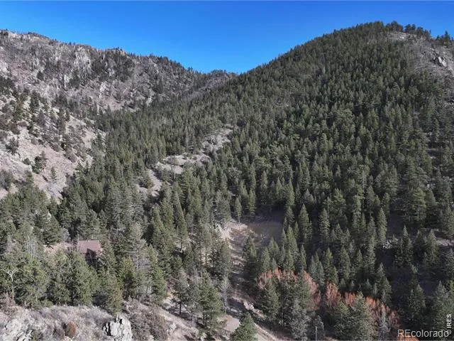 416 Black Creek Drive Glen Haven, CO 80532